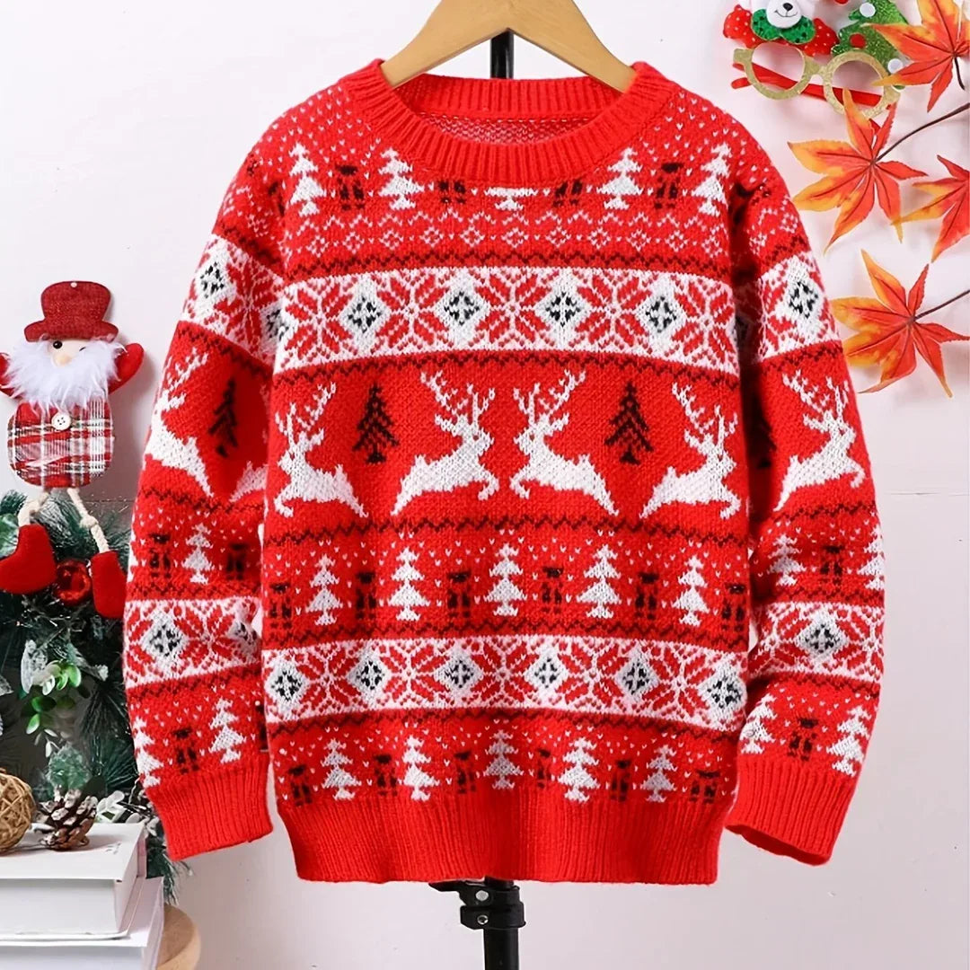 Carlo | Pull de Noël festif pour homme