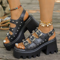 Monolithe Platform Buckle Sandals - ARDEN ROVE